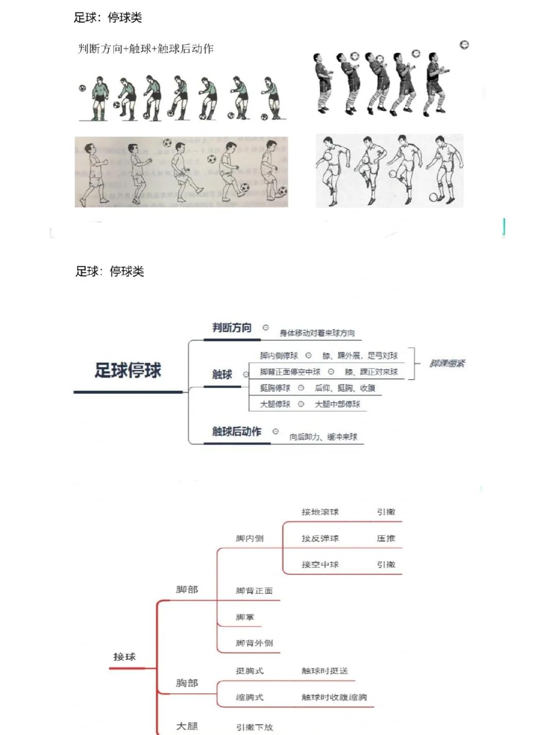 包含体育行业聚焦：女足球员技术提高方案的词条