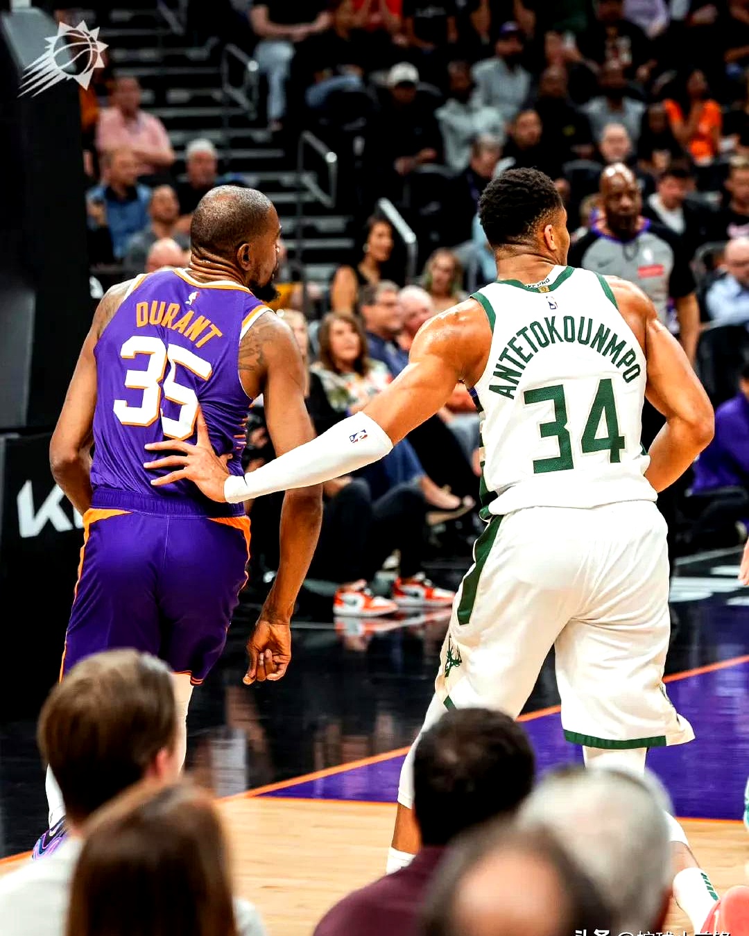 关于雄鹿逆转骑士,字母哥独得50分。的信息 关于雄鹿逆转骑士,字母哥独得50分。的信息