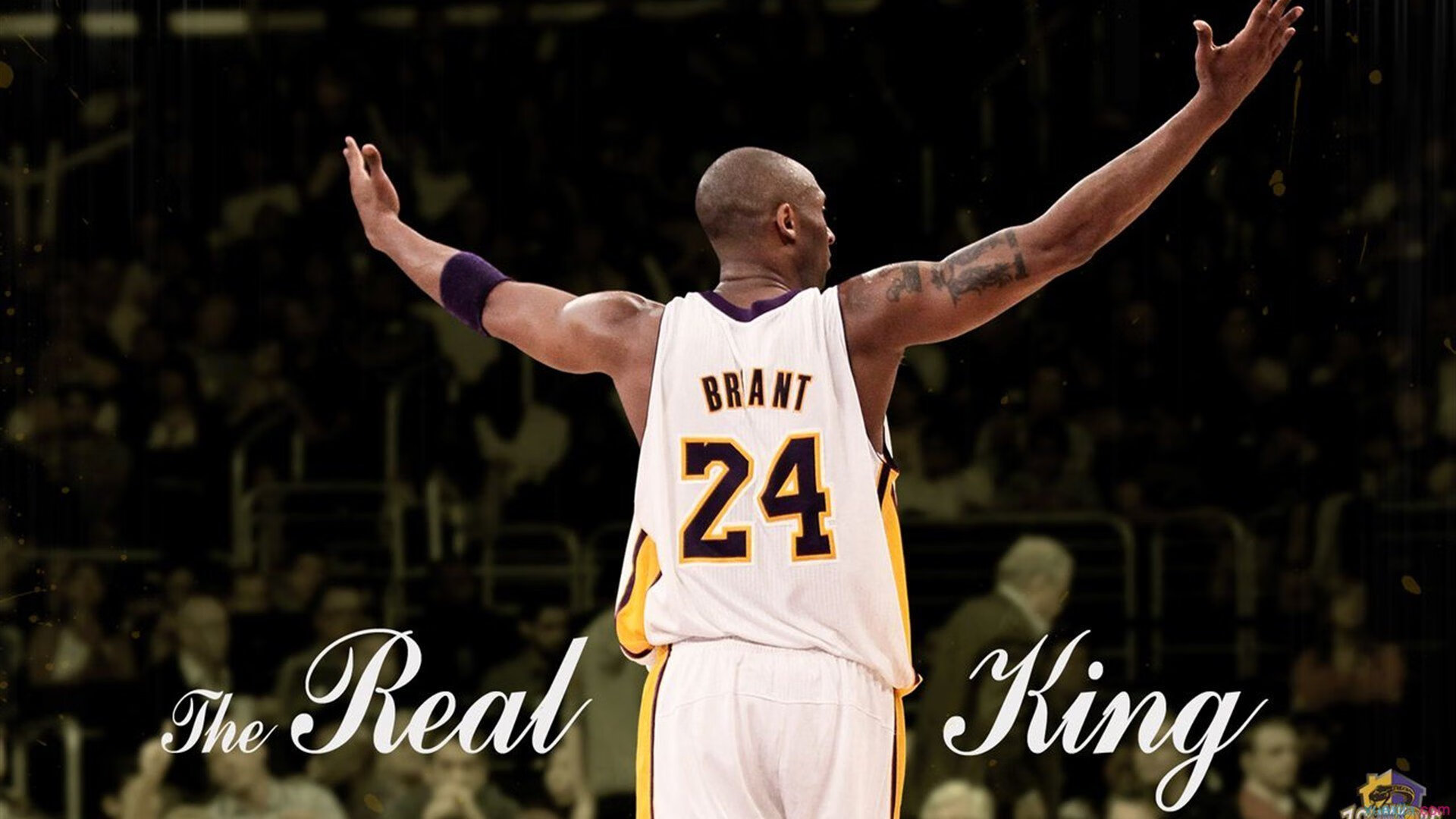 当欧冠遇上CBA，深圳强压新疆背后的篮球革命