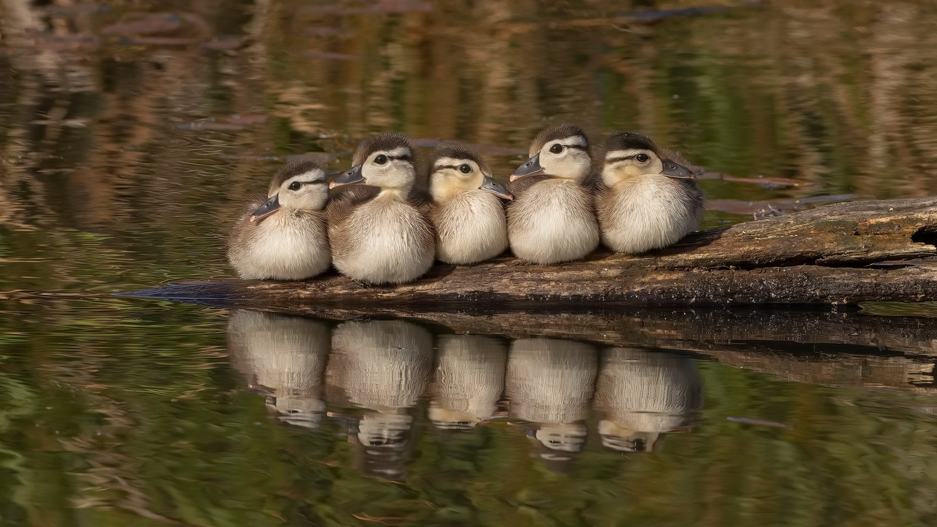 班凯罗关键先生显威，76人连续得分压制独行侠