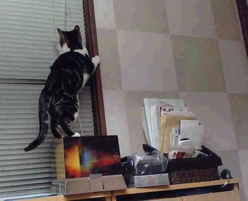 2026世界杯焦点战,亚特兰大主场奇迹,关键突围力克里昂