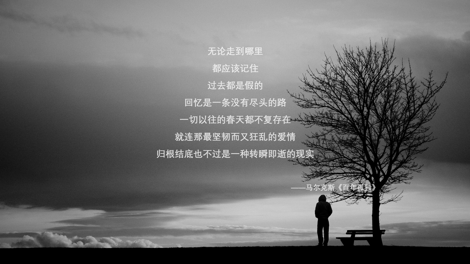 横扫风暴与孤胆英雄，NBA季后赛的团队胜利与个人主宰