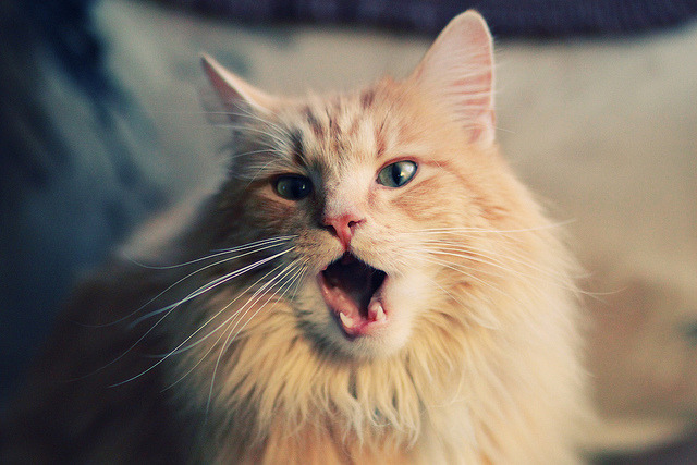 永不熄灭的火焰，米切尔诠释何为稳定，勇士上演冰与火之歌