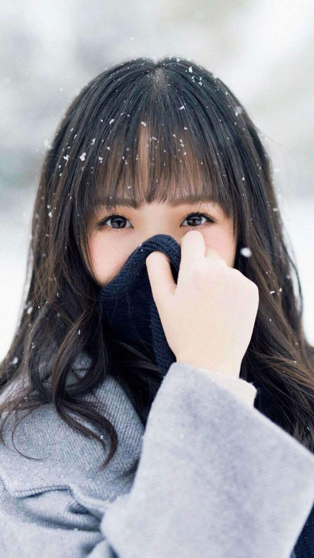 国王与绿军的符号博弈，当篮球叙事跨越太平洋