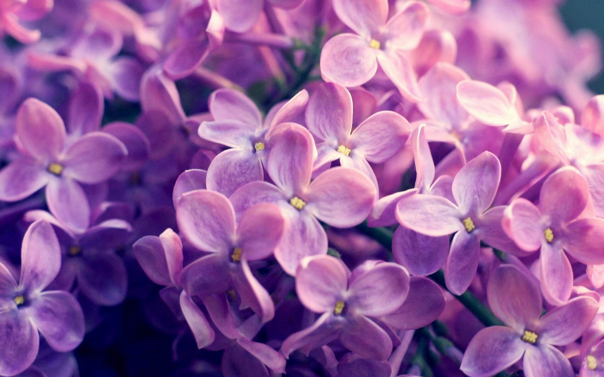 逆转之夜，萨内光芒撕裂苏格兰，尤文绝境翻盘演绎绿茵史诗