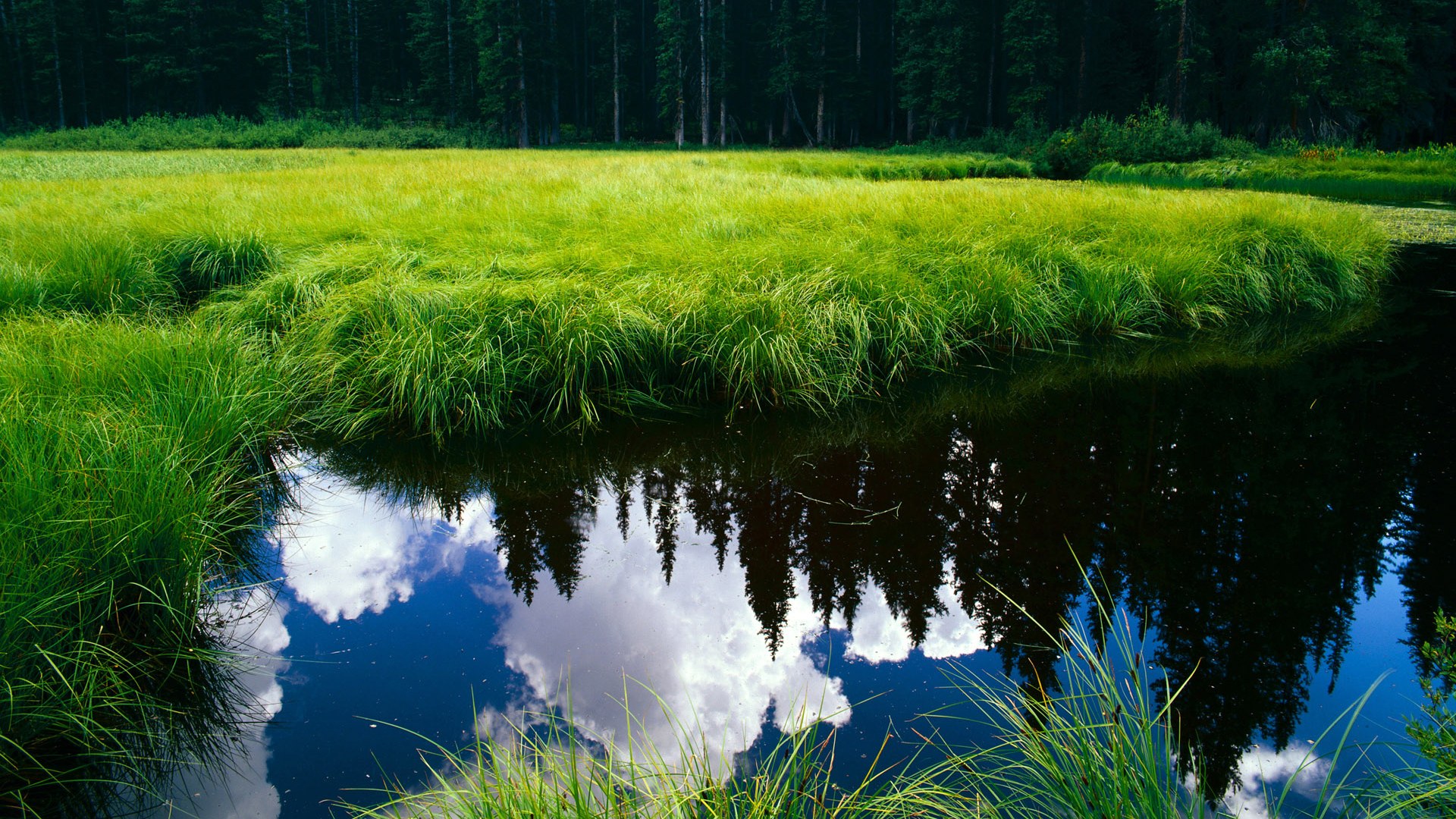 马克西末节爆发,公牛力克开拓者止连败