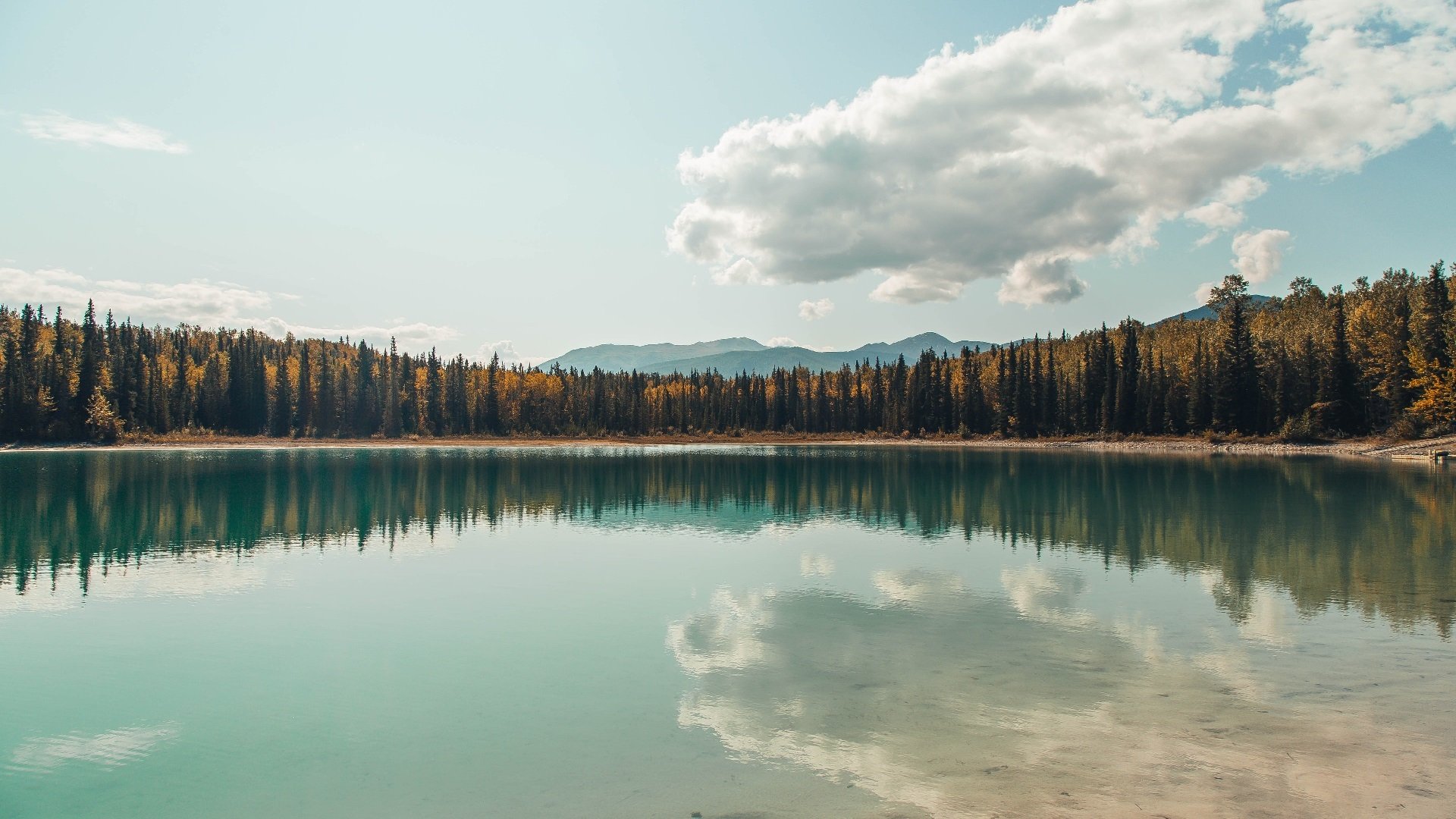 奥运之门在此夜关闭，当无解成为阿劳霍命中注定的谶语