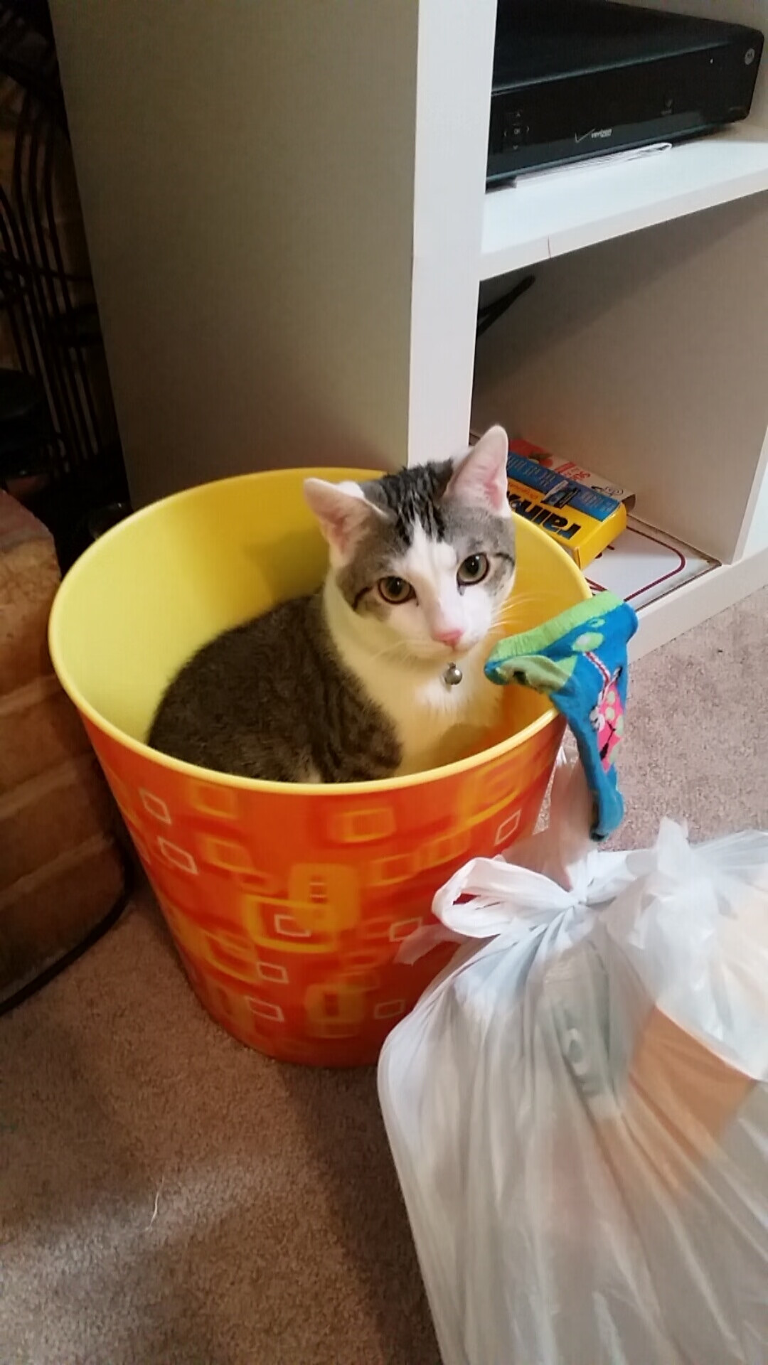 文班亚马冠军级表现闪耀，深圳队与太阳队跨国对决激战告局