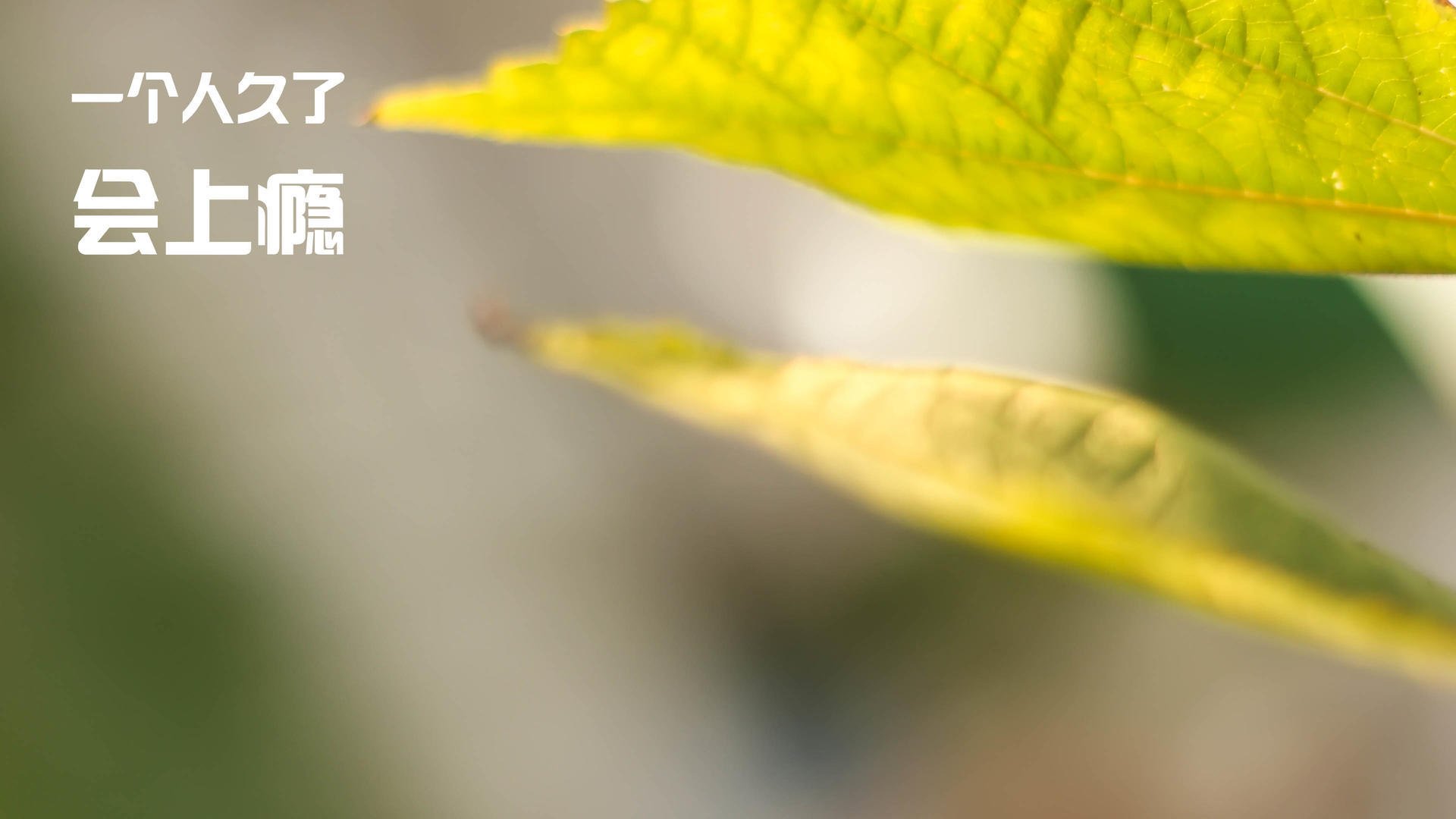 上海队爆冷掘金之后，塔图姆为何说这才是未来？