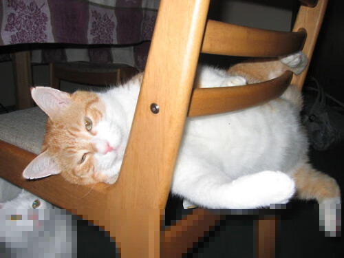 开云体育-绿茵风暴，喀麦隆踏平伊拉克，巴尔韦德点燃赛场