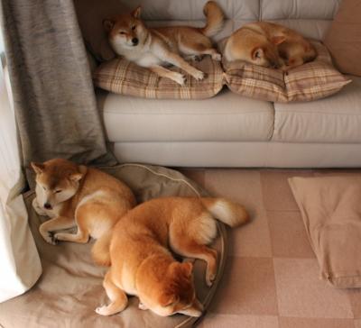 末节15分统治攻防！米切尔率热火三巨头合砍72分，奇才防线遭彻底肢解