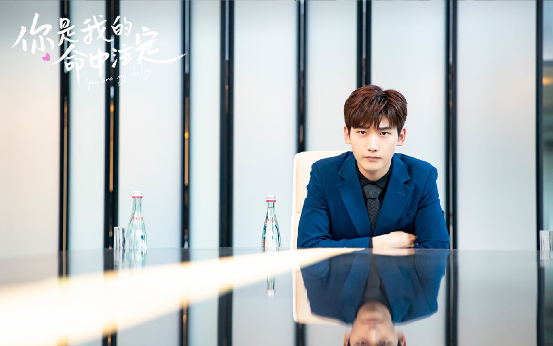 勒沃库森铁血防守封杀比利时,本泽马全能统治点燃胜局