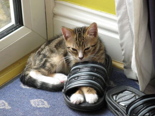 开云体育APP下载-跨越地域的赛场传奇，上海队掀翻快船，拉梅洛在德甲争冠战接管比赛